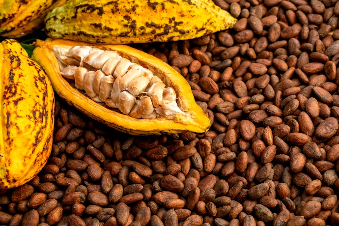 If You Want to Reap Health Benefits, Opt for Ones Made of Natural Cocoa