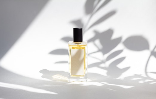 Base Notes Enhances the Overall Scent of Your Perfume