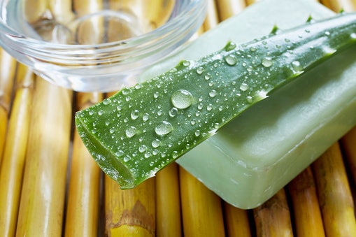 Cell-Rejuvenating Extracts Such As Aloe vera and Oatmeal Heal Damaged Skin