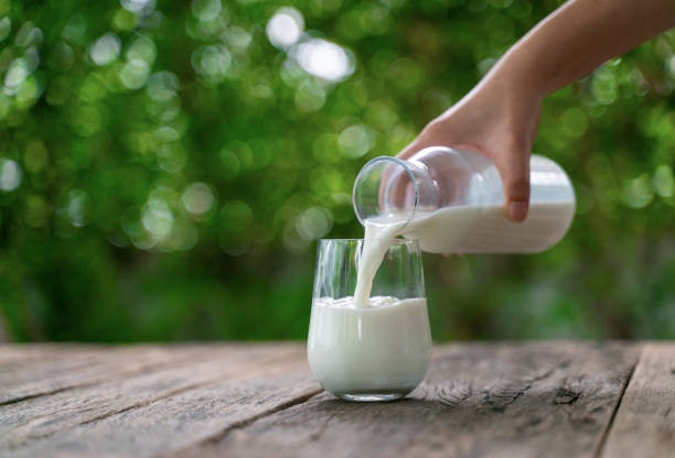 Choose Low Fat Milk If You Want to Maintain Your Weight