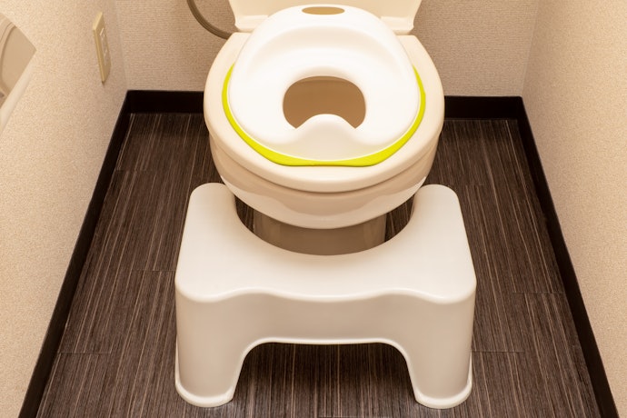 A Toilet Seat Reducer Saves Space