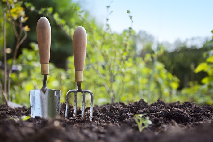 Gardening Tools for Digging Aid You With Rigorous Tasks