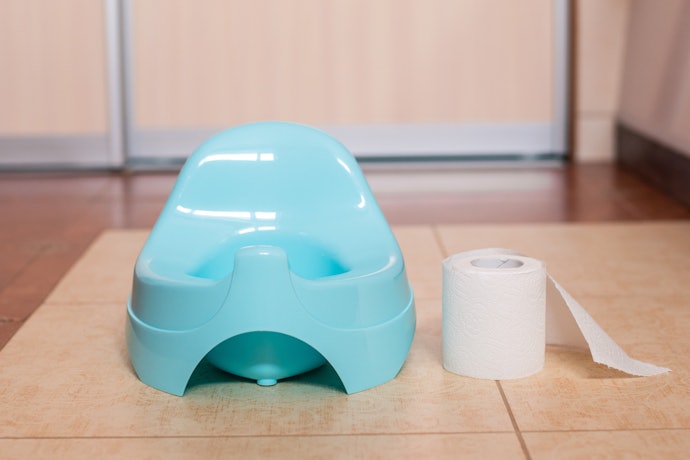 A Stand-Alone Potty Chair Is Portable