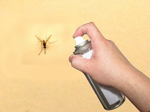 Get a Spray That Kills Other Insects if You Have Other Infestations