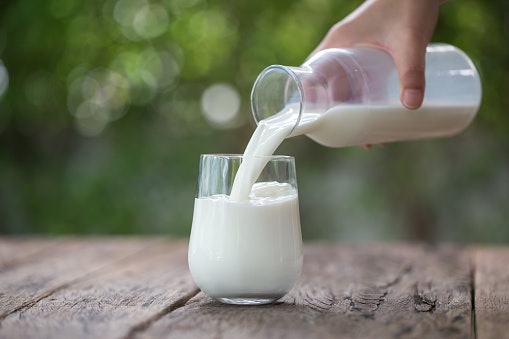 Cow Milk-Based Formulas for an Accessible Choice