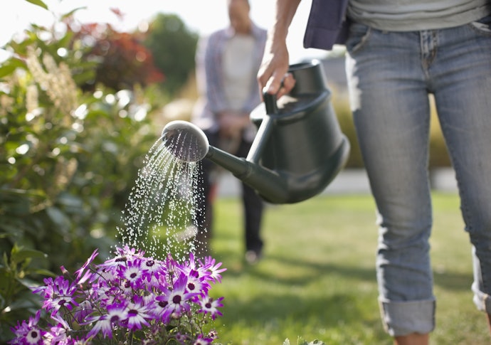 Watering Tools Help You Irrigate Your Plants More Efficiently