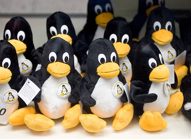Linux Is an Open-Source OS for Those Who Value Customization 