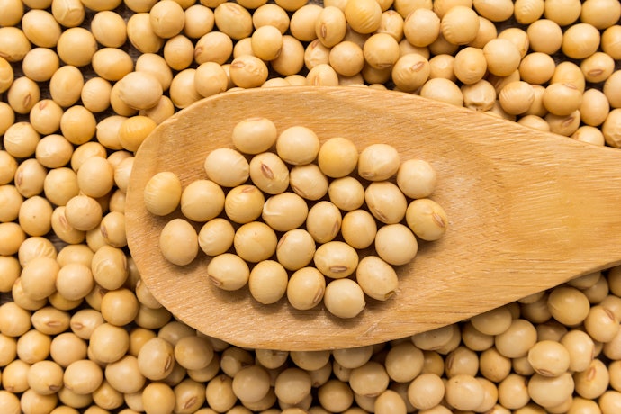 Soybean Pasta Has a High Amount of Protein
