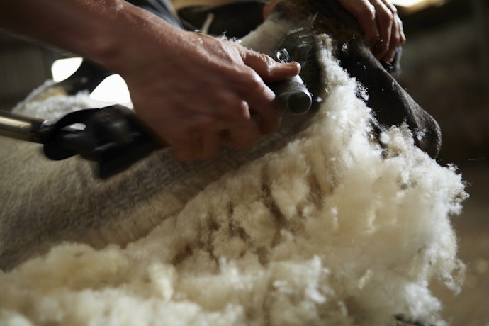 Merino Wool for Maintaining Body Temperature