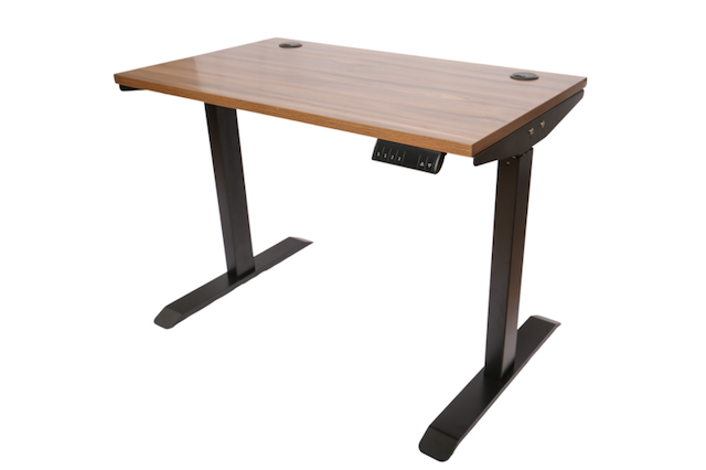 Ark Desk Pro-Standing Desk For Home Office 1