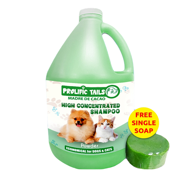 10 Best Dog Shampoos in the Philippines 2022 Buying Guide Reviewed by