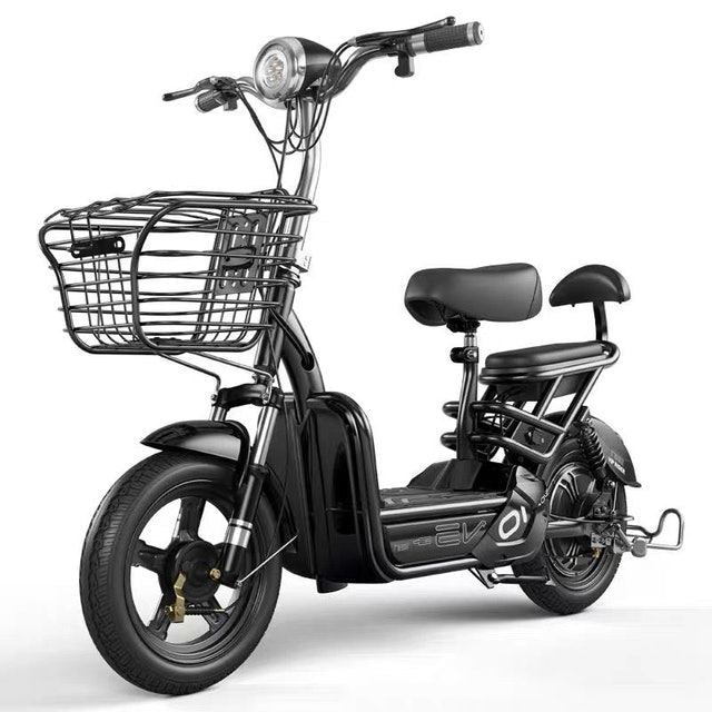 New Life Electric Bicycle 1