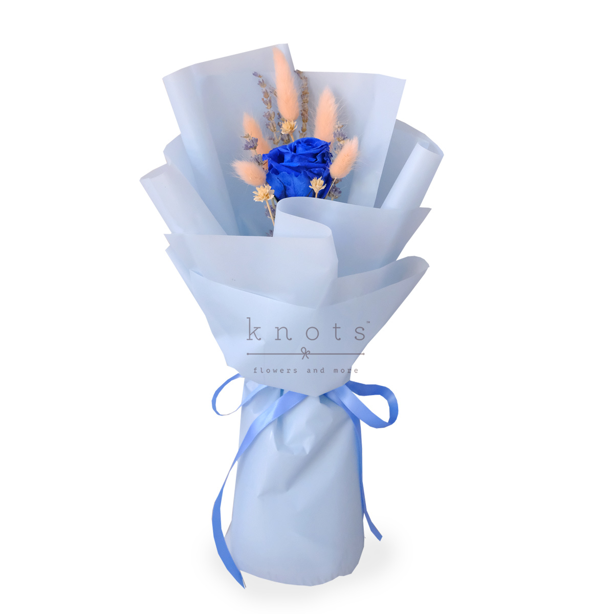 10 Best Preserved Flowers In The Philippines 2021 Mybest