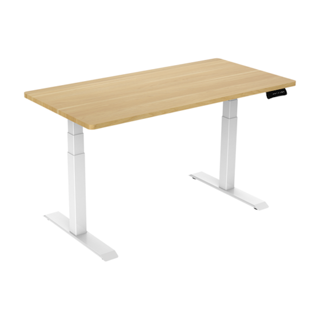 Flexispot Electric Height-Adjustable Standing Desk E3 1