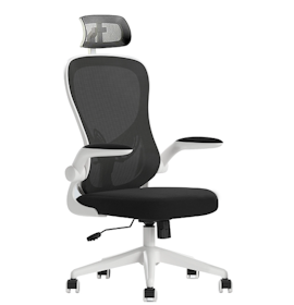 10 Best Ergonomic Chairs in the Philippines 2022 | Aofeis, Herman Miller, and More 2