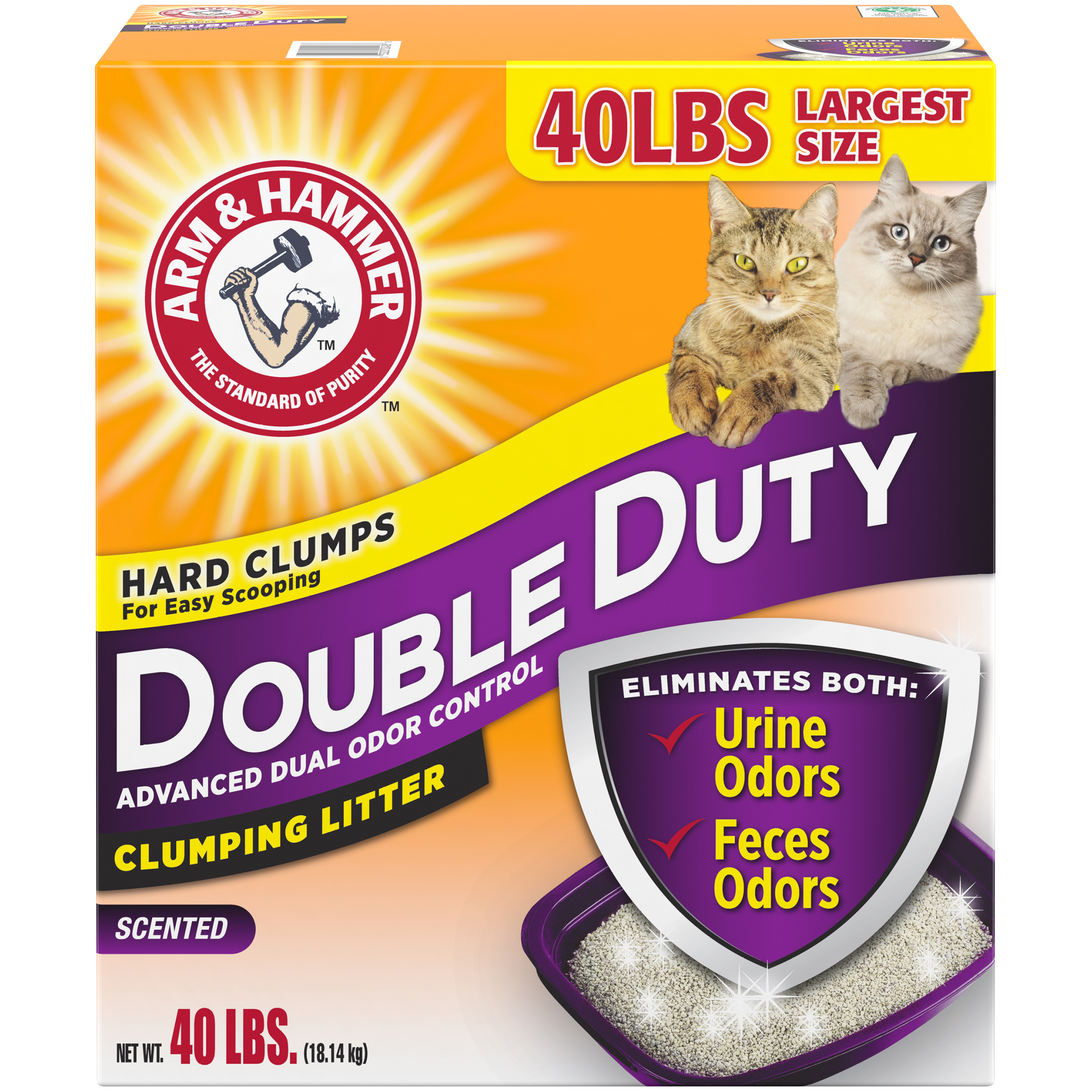 10 Best Cat Litters in the Philippines 2022 Buying Guide Reviewed by