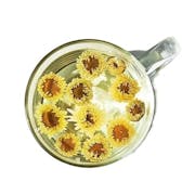 10 Best Blooming Teas in the Philippines 2022 | Buying Guide Reviewed by Nutritionist-Dietitian