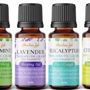 10 Best Aromatherapy Oils in the Philippines 2022 | Organic Blendz, Edens Garden, and More