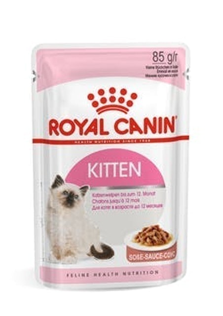 High Protein Kitten Food Wet | atelier-yuwa.ciao.jp